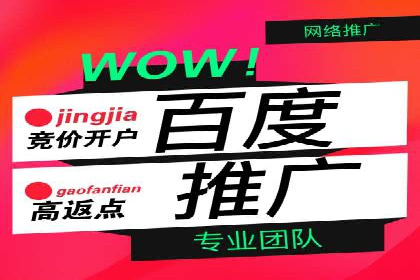 电商平台信息流广告的投放策略与效果评估案例